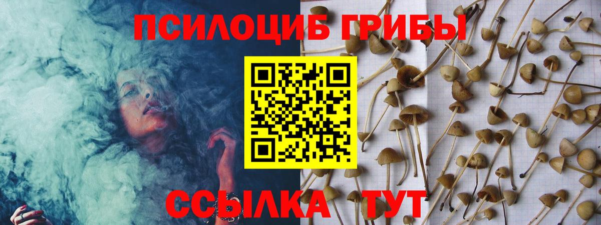 Псилоцибиновые грибы ЛСД  Вход с VPN  Галлюциногенные грибы мухоморы  Лосино-Петровский 