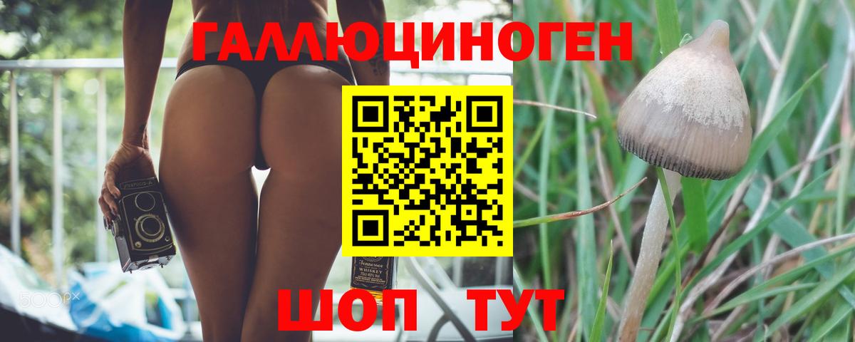 Псилоцибиновые грибы MAGIC MUSHROOMS Лосино-Петровский